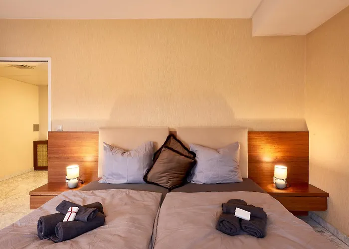 Prestige Luxury W Free Parking In Innere Stadt Daire Viyana