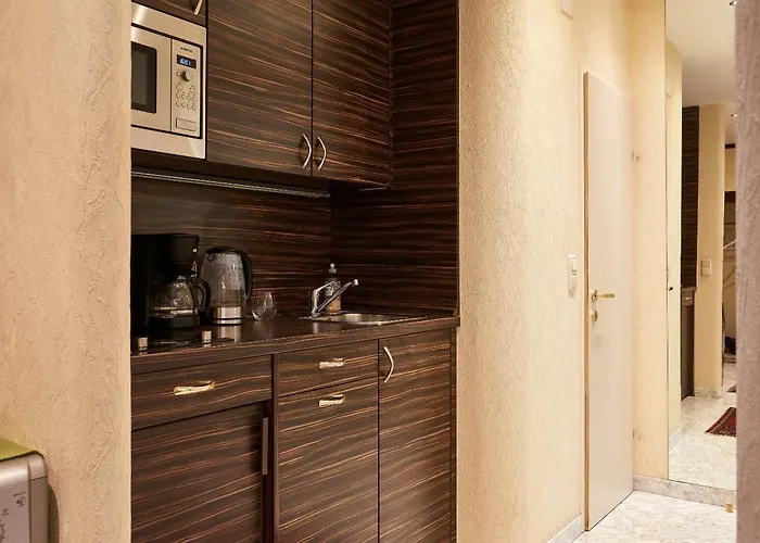 Daire Prestige Luxury W Free Parking In Innere Stadt *